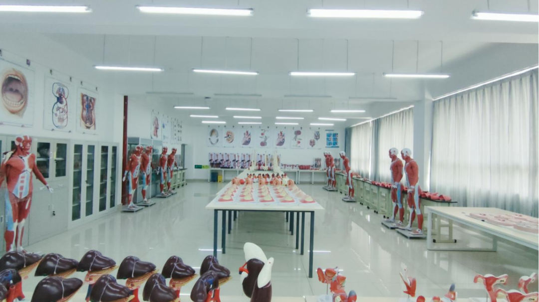 世俱杯sjb官网特色专业 | 医学影像技术