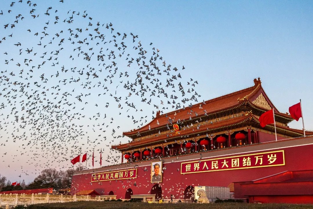 1728634146573005392.jpg 640 (29).jpg