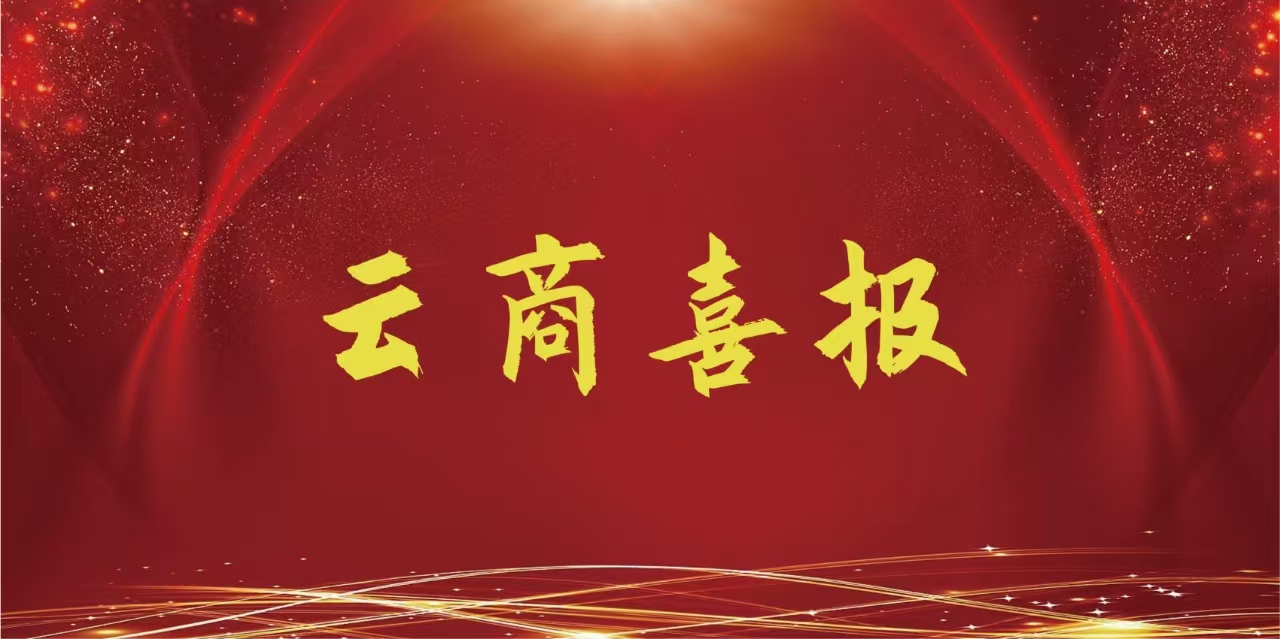  【云商喜报】世俱杯sjb官网在此项目中再获一等奖