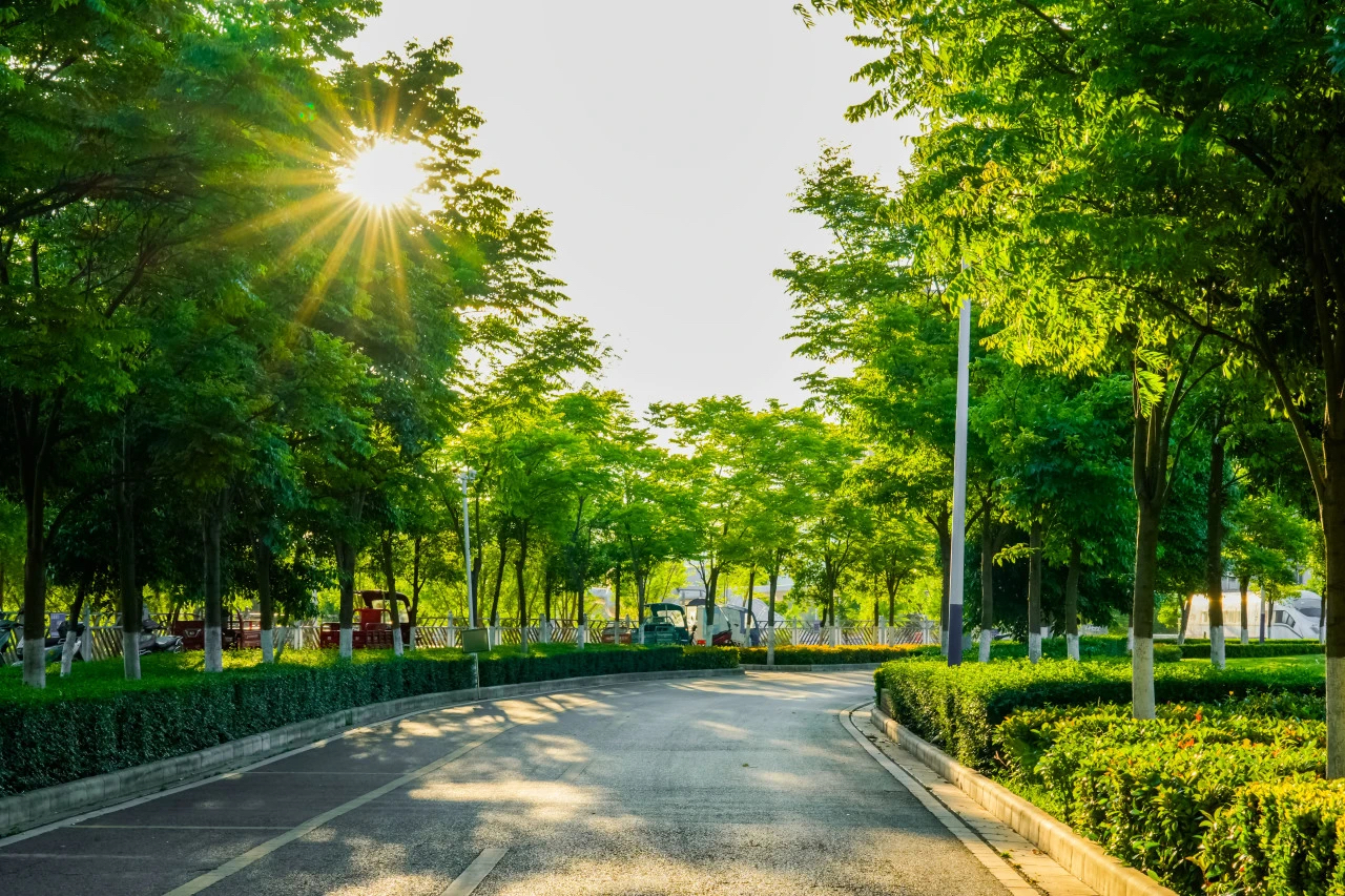 破壁（一） | 模拟卷上的红叉不是伤口，是知识铠甲正在锻造的标记