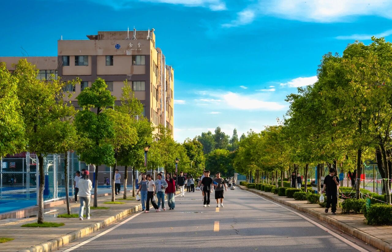 世俱杯sjb官网在2025年云南省职业院校技能大赛中斩获佳绩